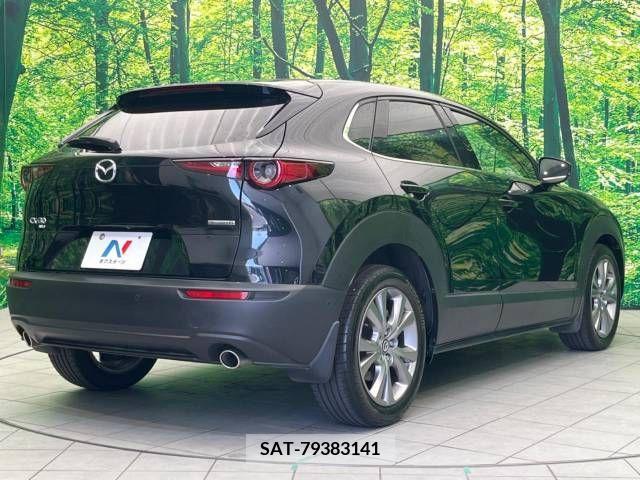Mazda CX-30 2019-12 235444-18