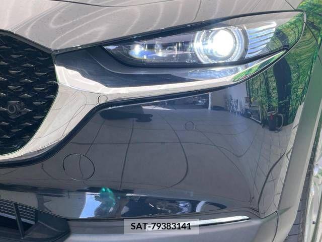 Mazda CX-30 2019-12 235444-13
