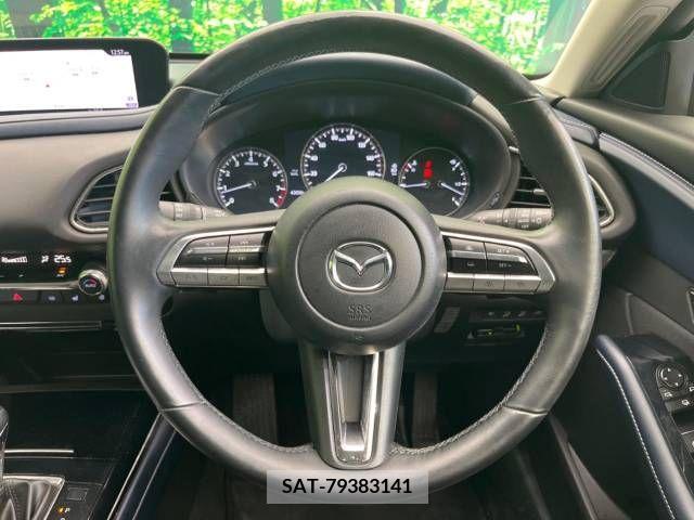 Mazda CX-30 2019-12 235444-12