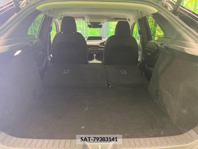 Mazda CX-30 2019-12 235444-11