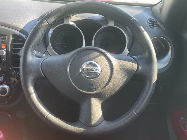 Nissan JUKE 2012-12 29066-11