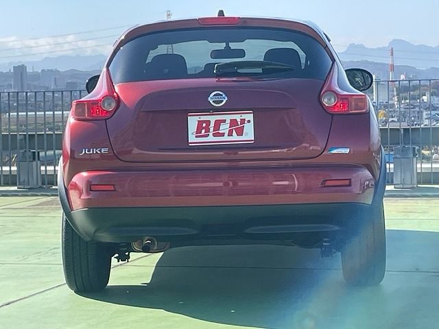 Nissan JUKE 2012-12 29066-18