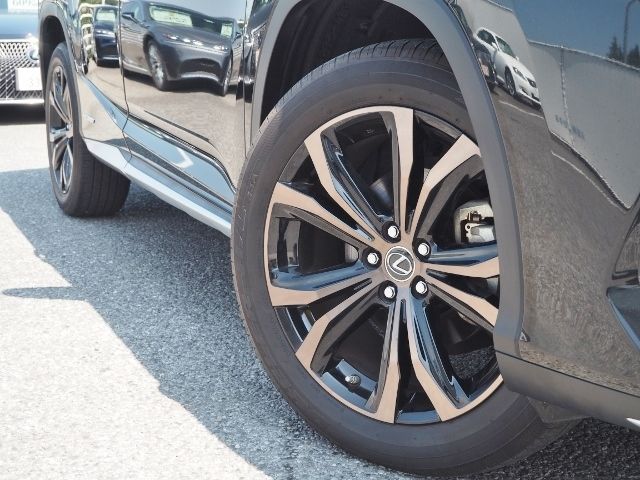 Lexus RX 2019-09 4842-8