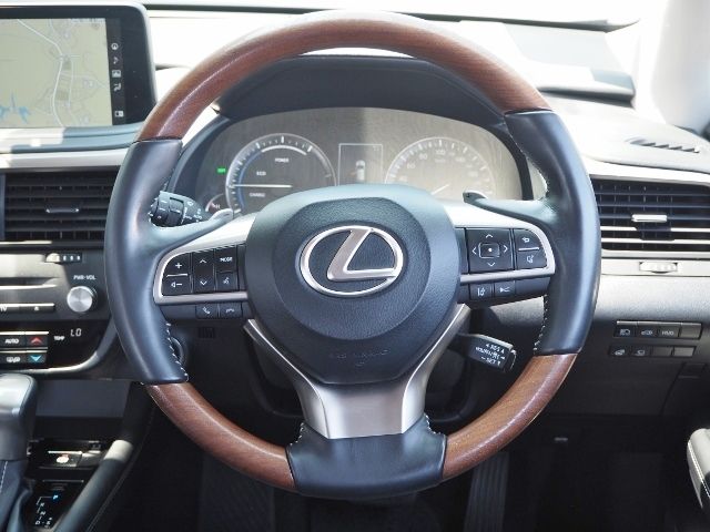 Lexus RX 2019-09 4842-19