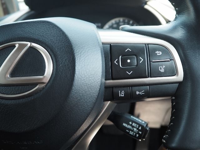 Lexus RX 2019-09 4842-20