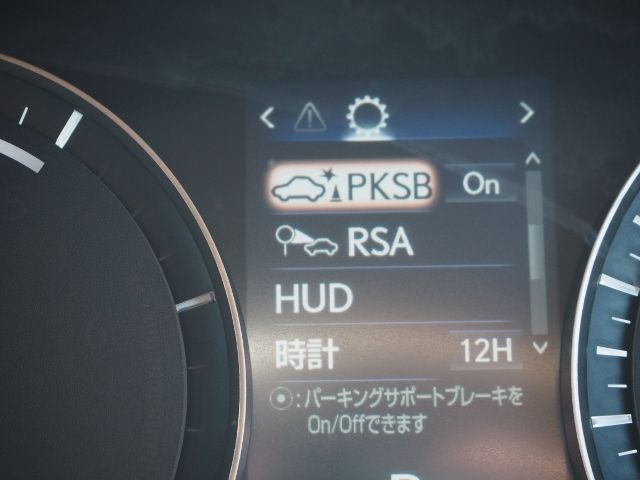 Lexus RX 2019-09 4842-25