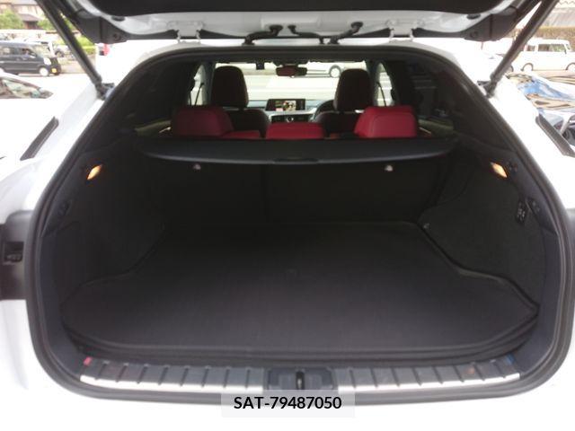 Lexus RX 2017-06 354075-22