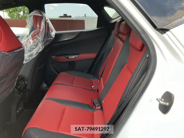 Lexus NX 2023-02 362974-21