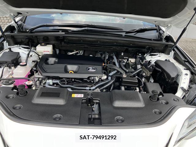 Lexus NX 2023-02 362974-25