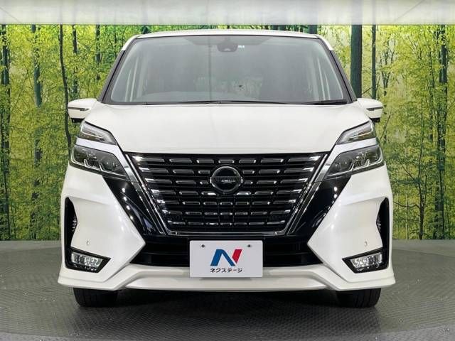 Nissan SERENA 2020-03 193851-15