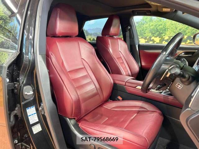 Lexus RX 2017-04 212916-8