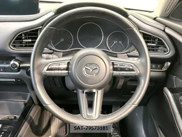 Mazda CX-30 2021-12 295892-11