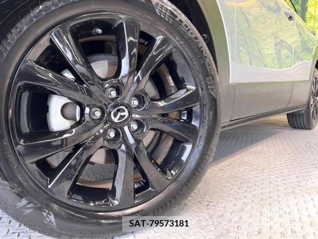 Mazda CX-30 2021-12 295892-13