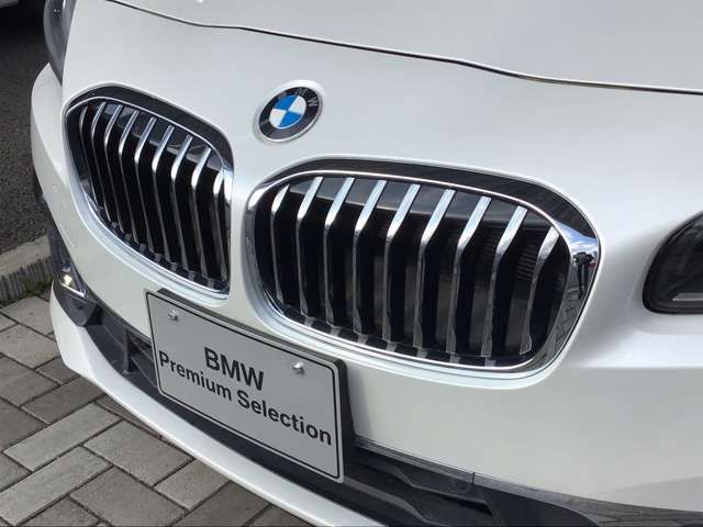 Bmw 2 SERIES 2019-05 14812-5