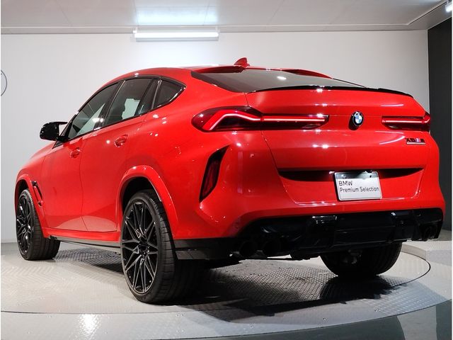 Bmw X6 2021-03 2622-1