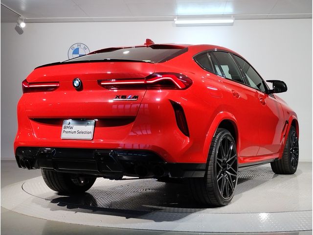 Bmw X6 2021-03 2622-3