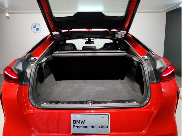 Bmw X6 2021-03 2622-7