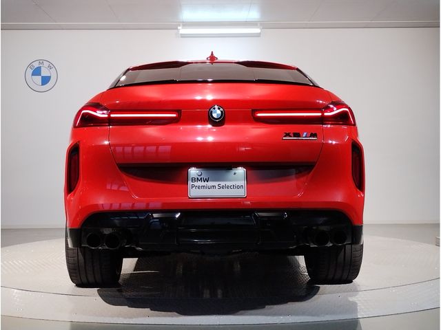 Bmw X6 2021-03 2622-2