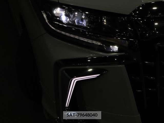Toyota ALPHARD 2019-01 221665-12