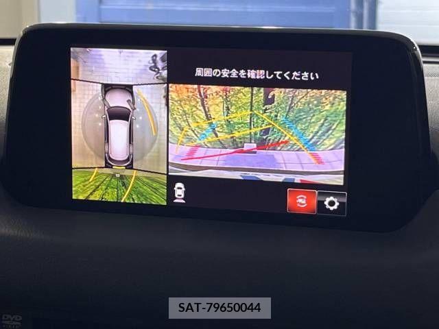 Mazda CX-8 2019-09 384899-3