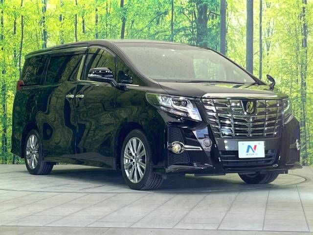 Toyota ALPHARD 2017-11 183922-17