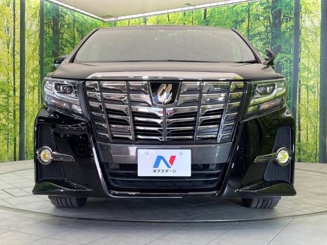 Toyota ALPHARD 2017-11 183922-15