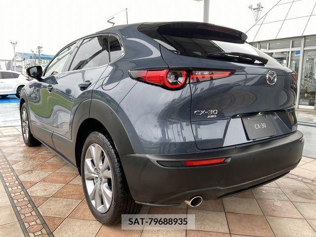 Mazda CX-30 2021-07 348438-6