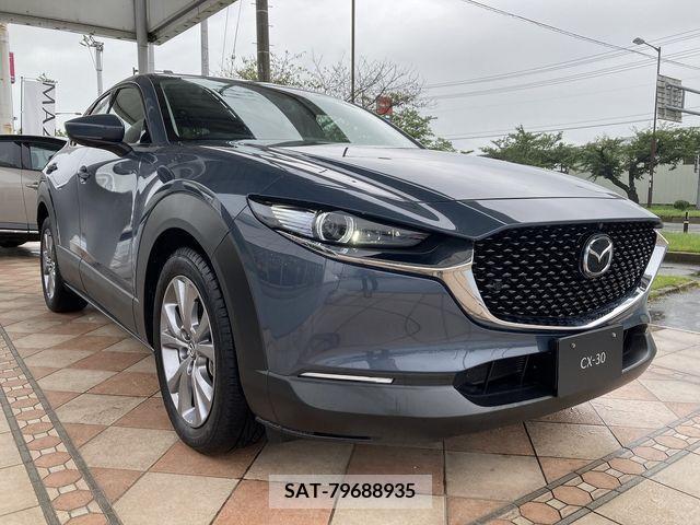 Mazda CX-30 2021-07 348438-2