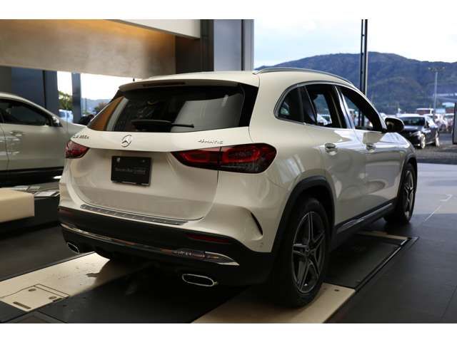 Mercedes Benz GLA-CLASS 2021-08 195390-8