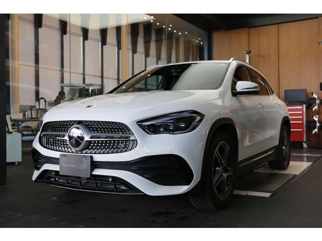 Mercedes Benz GLA-CLASS 2021-08 195390-5