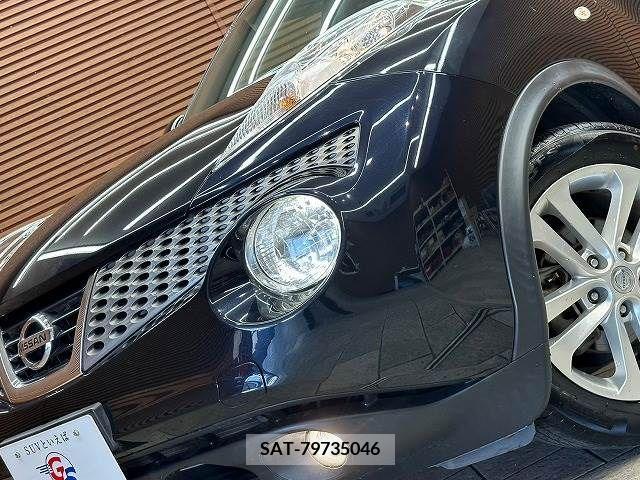 Nissan JUKE 2012-09 320497-19