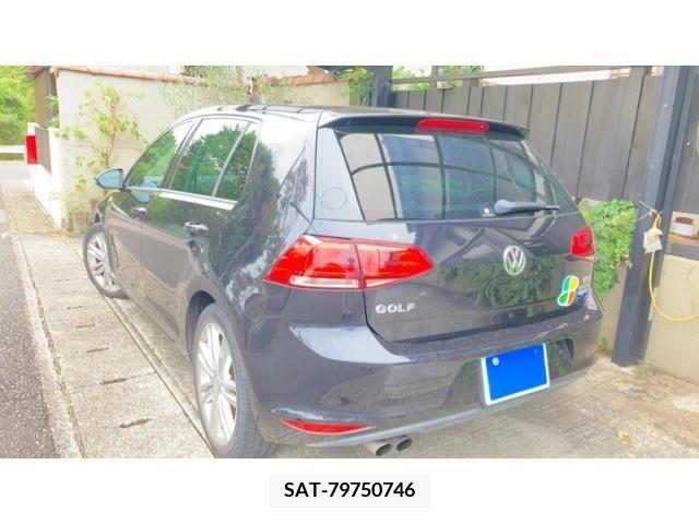 VolksWagen GOLF 2013-06 395067-1