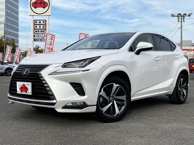 Lexus NX 2020-01 185642-0