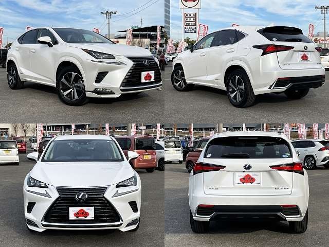 Lexus NX 2020-01 185642-8