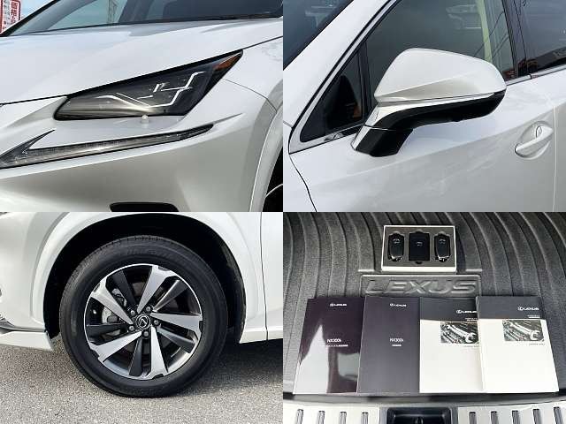 Lexus NX 2020-01 185642-7