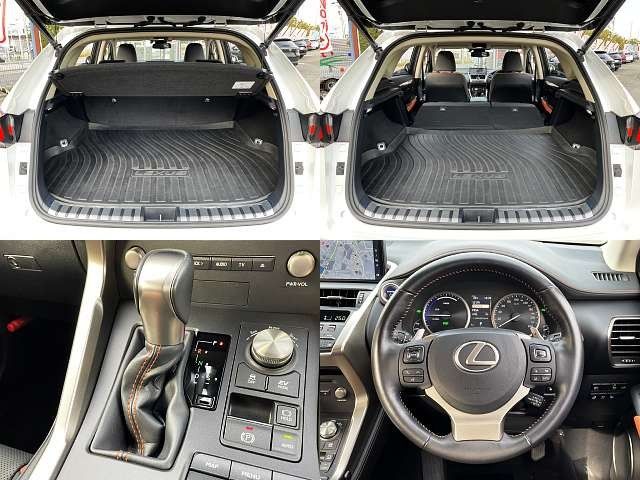Lexus NX 2020-01 185642-6