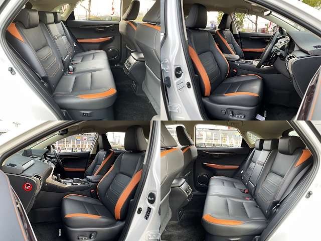 Lexus NX 2020-01 185642-5