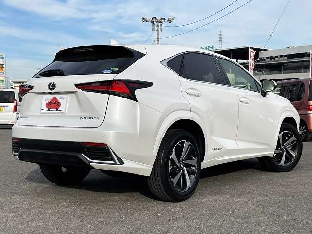 Lexus NX 2020-01 185642-2