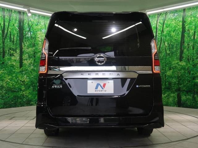 Nissan SERENA 2019-04 25178-16