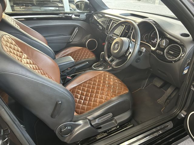 VolksWagen THE BEETLE 2015-01 18849-9
