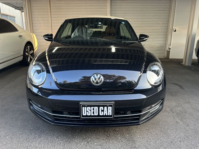 VolksWagen THE BEETLE 2015-01 18849-2