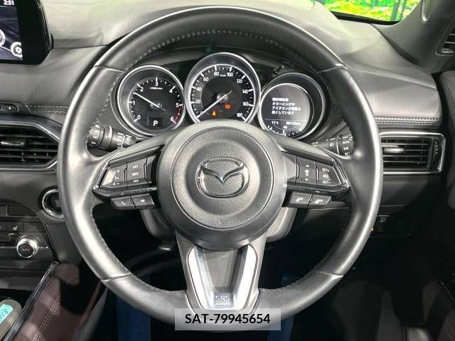Mazda CX-8 2019-09 205359-11