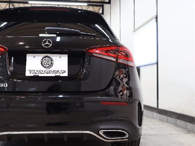 Mercedes Benz A-CLASS 2018-12 193442-14