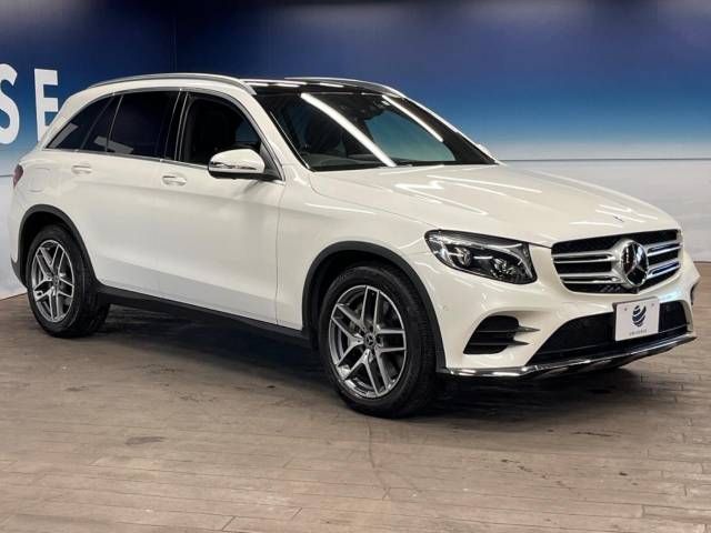 Mercedes Benz GLC-CLASS 2019-04 27556-18