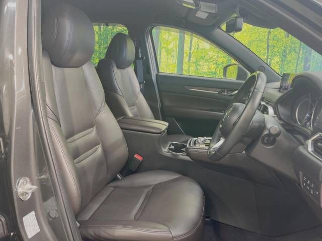 Mazda CX-8 2018-09 192116-8