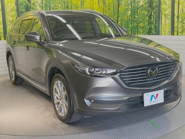 Mazda CX-8 2018-09 192116-17