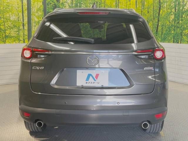 Mazda CX-8 2018-09 192116-16