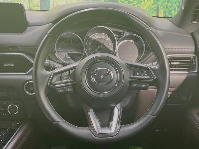 Mazda CX-8 2018-09 192116-12