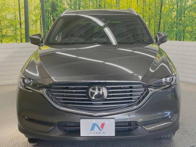 Mazda CX-8 2018-09 192116-15