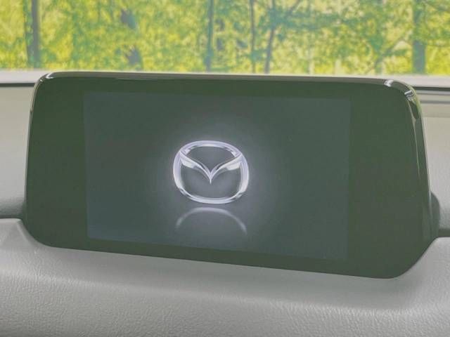 Mazda CX-8 2018-09 192116-2